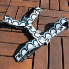 ���㥫���ɥ�ܥ�/Ⱦ��ݤ��ݤ��ϡ��ͥ��ʥߥ�ȡˡ�ñ�ʥ᡼���ز�/�꡼�ɤȤΥ᡼����Ʊ���ġ�