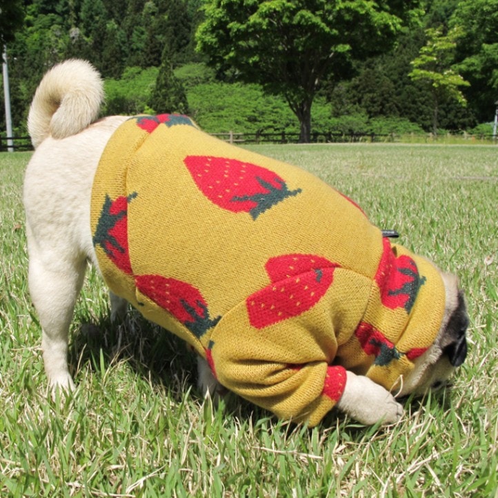 大きないちごセーター【一着のみメール便可】 | セーター | | BULLオ