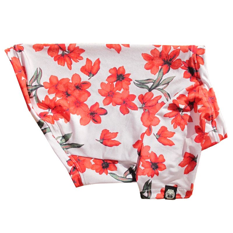 �餭�ۤ���T����ġ�T�����2��or���󥯥ȥå�1���T�����1��ϥ᡼���زġ�