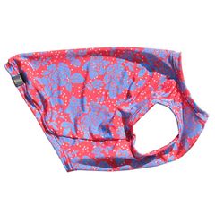 ����Υ֥롼���������󥯥ȥåס�T�����2��or���󥯥ȥå�1���T�����1��ϥ᡼���زġ�