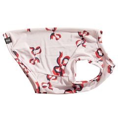 ����ܥ󥿥󥯥ȥåס�T�����2��or���󥯥ȥå�1���T�����1��ϥ᡼���زġ�