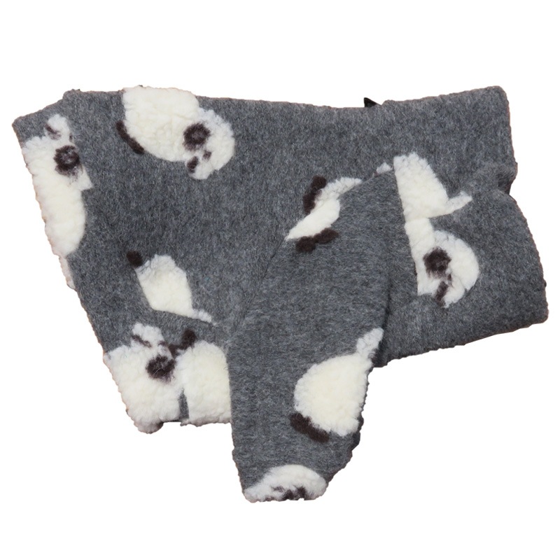 12/5 21�����䳫�ϡ��Ӥ�Ω�ΰ��̥��������ڥ᡼�����Բġ�