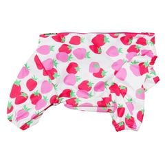 3/29 21�����䳫�ϡ��������쥤�󥳡��ȡ����̡��ɥա��ɡ�ñ�ʥ᡼���ز�/���̡��ɥա��ɤȤ�Ʊ���᡼���زġ�