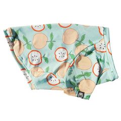 5/17 21時販売開始★フルーツプリントTシャツ【Tシャツ2着orタンクトップ1着×Tシャツ1着はメール便可】