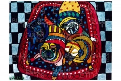 �ݥ��������ѥ�C�ڥ᡼�����Բġ�