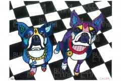 �ݥ��������ܥ��ȥ�ƥꥢB�ڥ᡼�����Բġ�