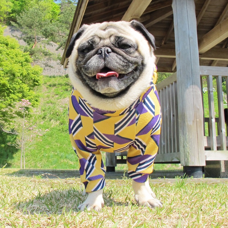 �ӥ����ۿ��Υ�ȥ������եȥ졼�ʡ��ڰ���Τߥ᡼���زġ�