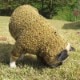 �ĥ����ɤäݤ����������ʥ�������)�ڰ���Τߥ᡼���زġ�