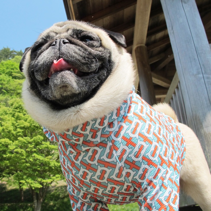 �Ѥ���������ȸ��äƤ����Τ��ʽեȥ졼�ʡ��ڰ���Τߥ᡼���زġ�