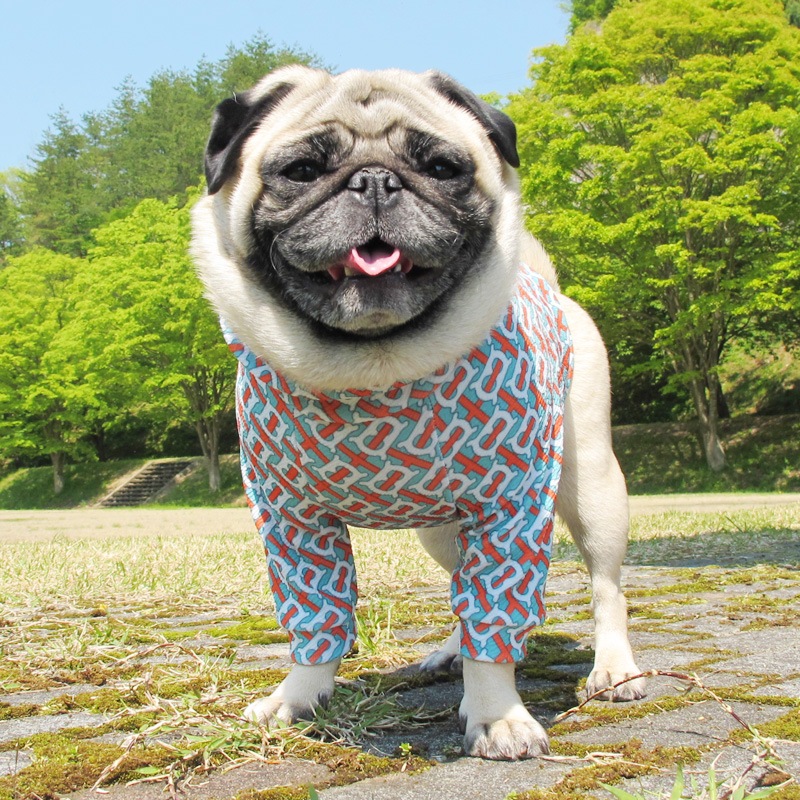 �Ѥ���������ȸ��äƤ����Τ��ʽեȥ졼�ʡ��ڰ���Τߥ᡼���زġ�