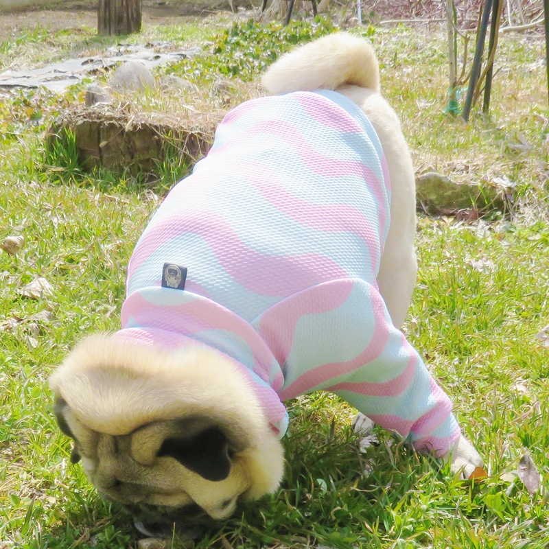 �ʤߤʤ߽եȥ졼�ʡ��ڰ���Τߥ᡼���زġ�