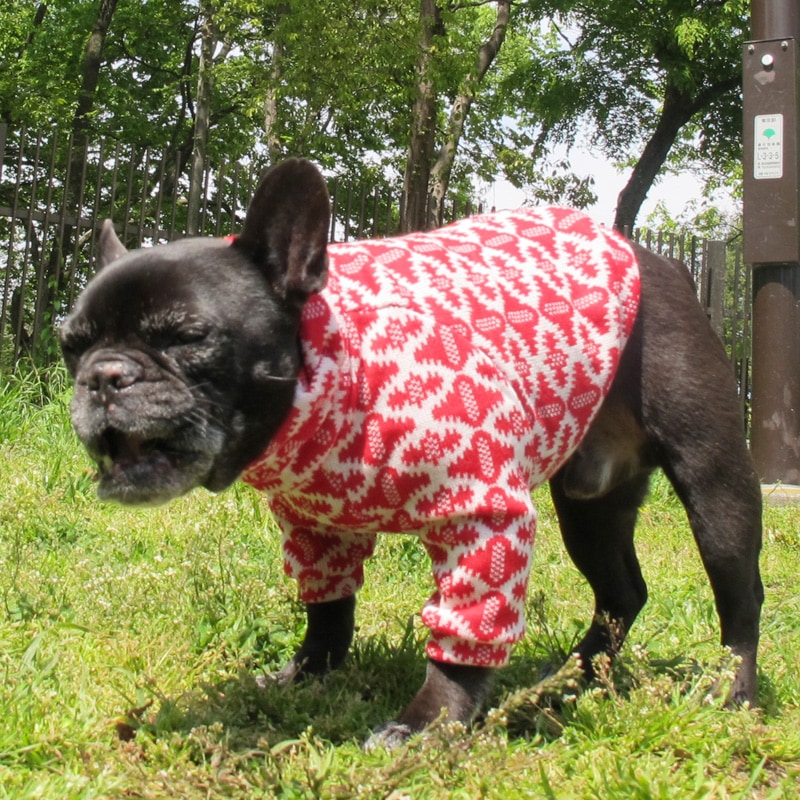 �������ʪ�������������ڰ���Τߥ᡼���زġ�