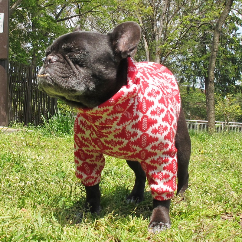 �������ʪ�������������ڰ���Τߥ᡼���زġ�