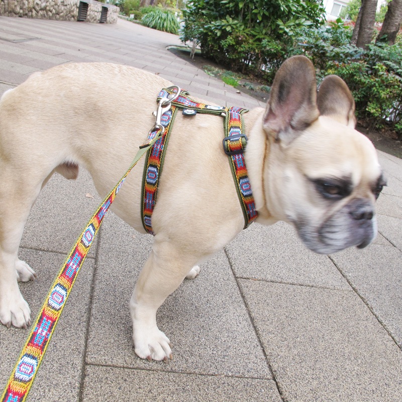 㥫PP/ϡͥñʥ᡼ز/꡼ɤȤΥ᡼Ʊġ