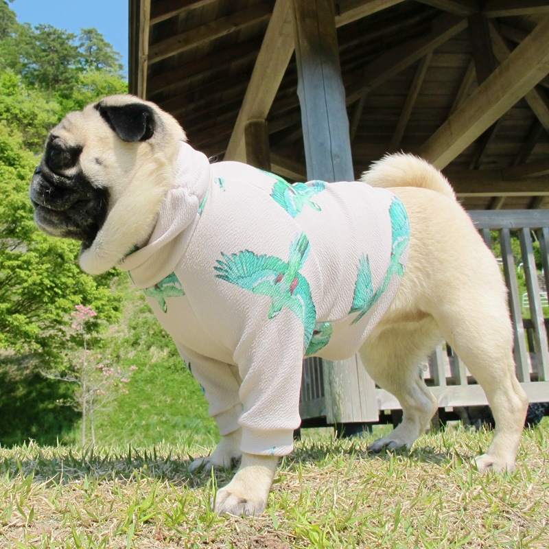 �Ĥ�S�������Τߡ��С��ɽեȥ졼�ʡ��ڰ���Τߥ᡼���زġ�