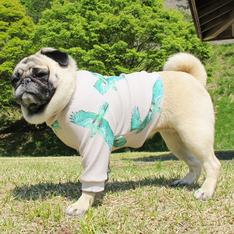 �Ĥ�S�������Τߡ��С��ɽեȥ졼�ʡ��ڰ���Τߥ᡼���زġ�