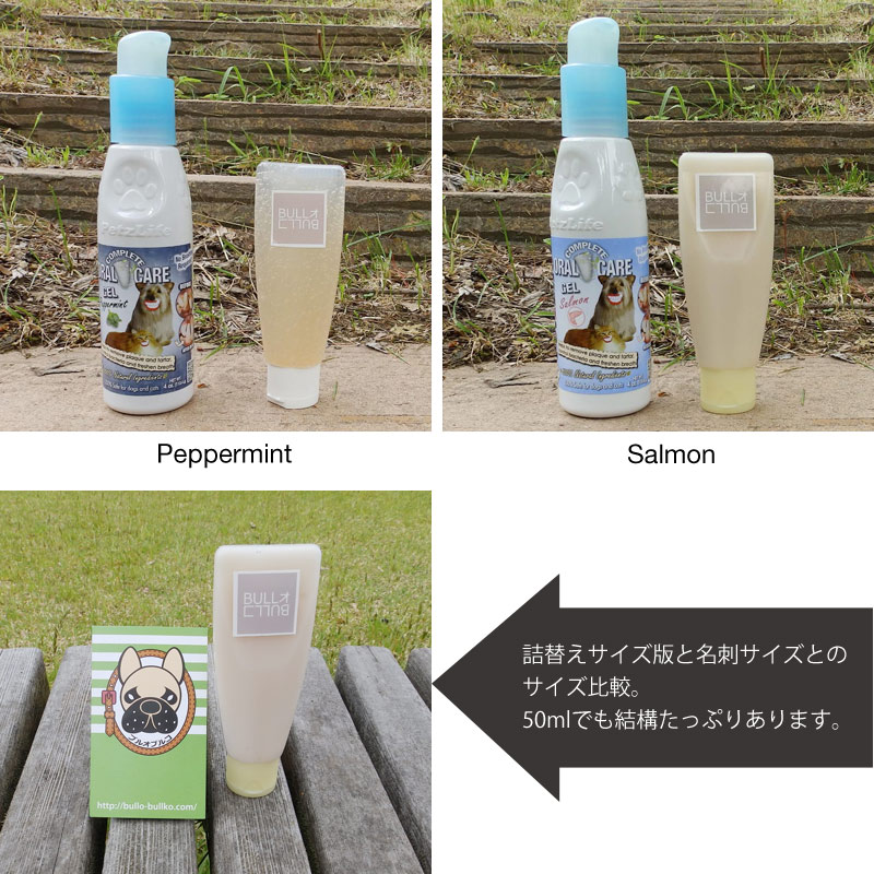 PetzLife ������륱���������ñ���귿��͹��ȯ���ġ�