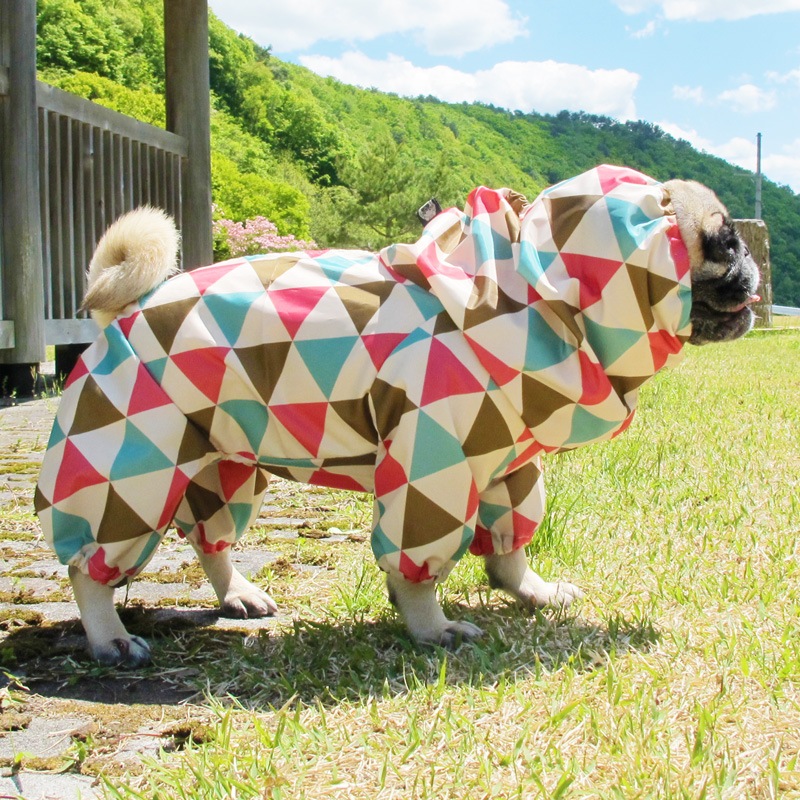 ץȥ쥤󥳡ȡ̡ɥաɡñʥ᡼ز/̡ɥաɤȤƱ᡼زġ