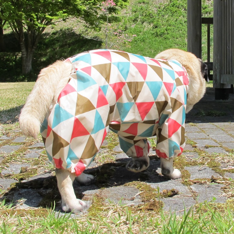 ץȥ쥤󥳡ȡ̡ɥաɡñʥ᡼ز/̡ɥաɤȤƱ᡼زġ