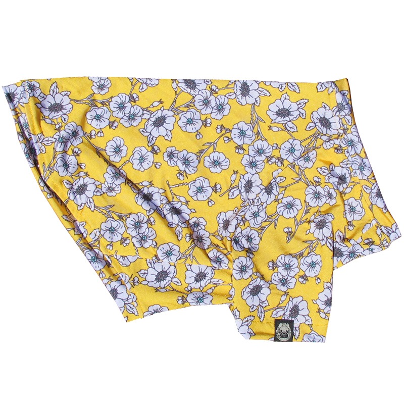 ����ƥ������ե�T����ġ�T�����2��or���󥯥ȥå�1���T�����1��ϥ᡼���زġ�