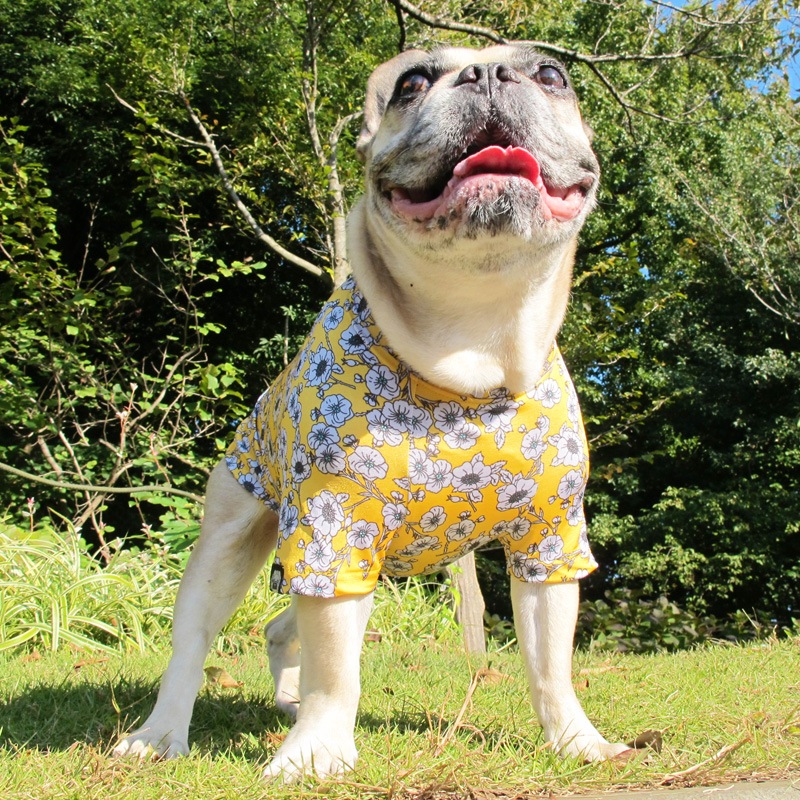 ����ƥ������ե�T����ġ�T�����2��or���󥯥ȥå�1���T�����1��ϥ᡼���زġ�