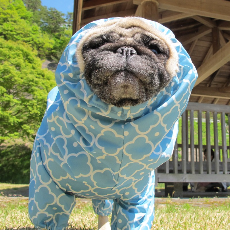 ����å���ץ��ȥ쥤�󥳡��ȡ����̡��ɥա��ɡ�ñ�ʥ᡼���ز�/���̡��ɥա��ɤȤ�Ʊ���᡼���زġ�