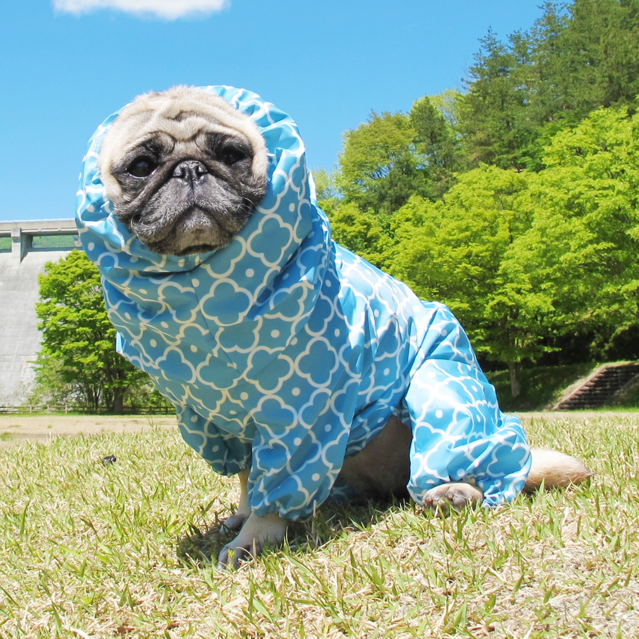 ����å���ץ��ȥ쥤�󥳡��ȡ����̡��ɥա��ɡ�ñ�ʥ᡼���ز�/���̡��ɥա��ɤȤ�Ʊ���᡼���زġ�