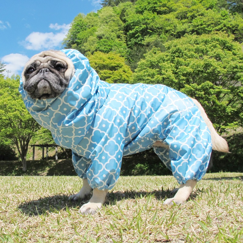 ����å���ץ��ȥ쥤�󥳡��ȡ����̡��ɥա��ɡ�ñ�ʥ᡼���ز�/���̡��ɥա��ɤȤ�Ʊ���᡼���زġ�