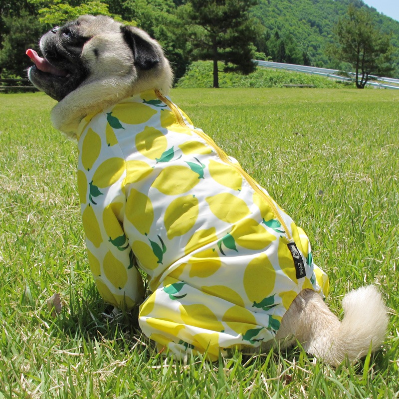 ����쥤�󥳡��ȡ����̡��ɥա��ɡ�ñ�ʥ᡼���ز�/���̡��ɥա��ɤȤ�Ʊ���᡼���زġ�