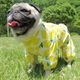 ����쥤�󥳡��ȡ����̡��ɥա��ɡ�ñ�ʥ᡼���ز�/���̡��ɥա��ɤȤ�Ʊ���᡼���زġ�