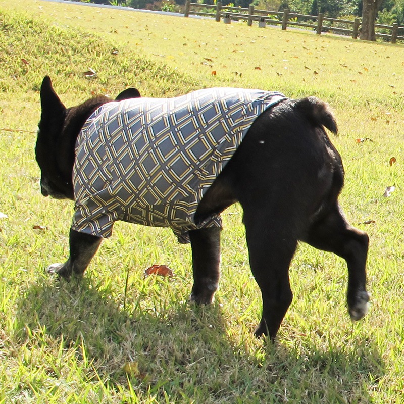 �ͳѻͳ�T����ġ�T�����2��or���󥯥ȥå�1���T�����1��ϥ᡼���زġ�