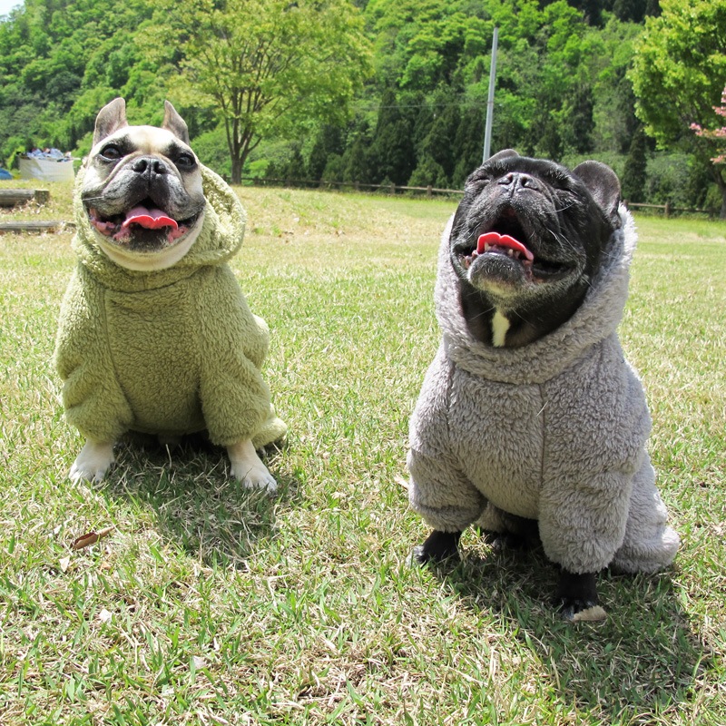 ������ۥա����դĤʤ��ʥ��꡼�֡ˡڥ᡼�����Բġ�