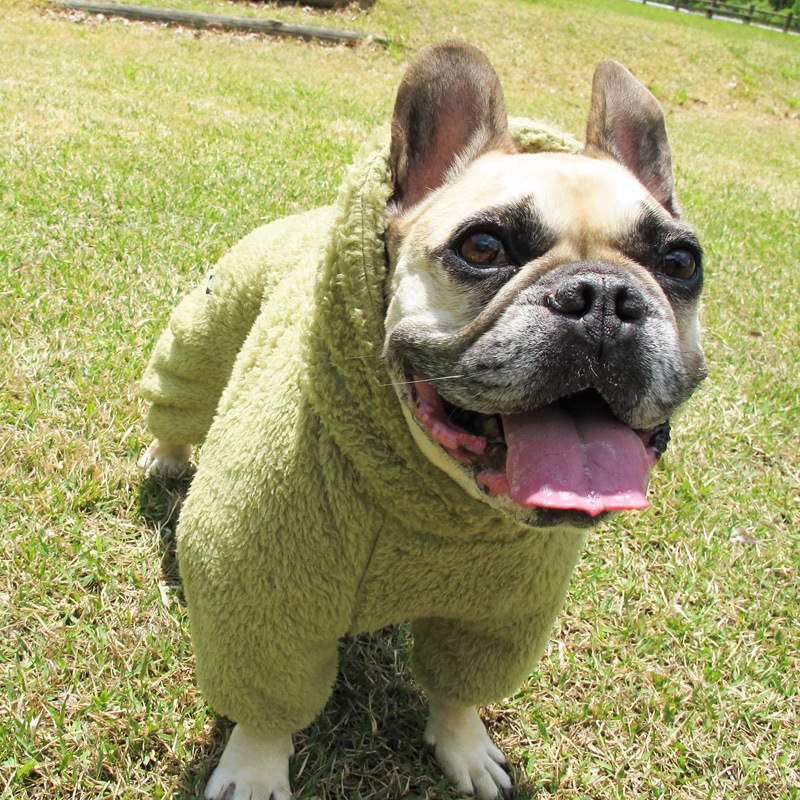 ������ۥա����դĤʤ��ʥ��꡼�֡ˡڥ᡼�����Բġ�