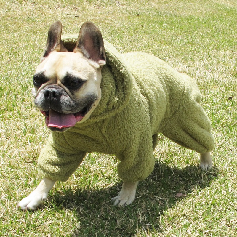 ������ۥա����դĤʤ��ʥ��꡼�֡ˡڥ᡼�����Բġ�