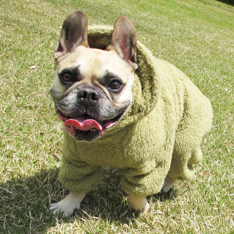 ������ۥա����դĤʤ��ʥ��꡼�֡ˡڥ᡼�����Բġ�