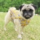 ����ƥ������ե����󥯥ȥåס�T�����2��or���󥯥ȥå�1���T�����1��ϥ᡼���زġ�