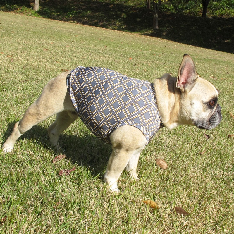 �ͳѻͳѥ��󥯥ȥåס�T�����2��or���󥯥ȥå�1���T�����1��ϥ᡼���زġ�