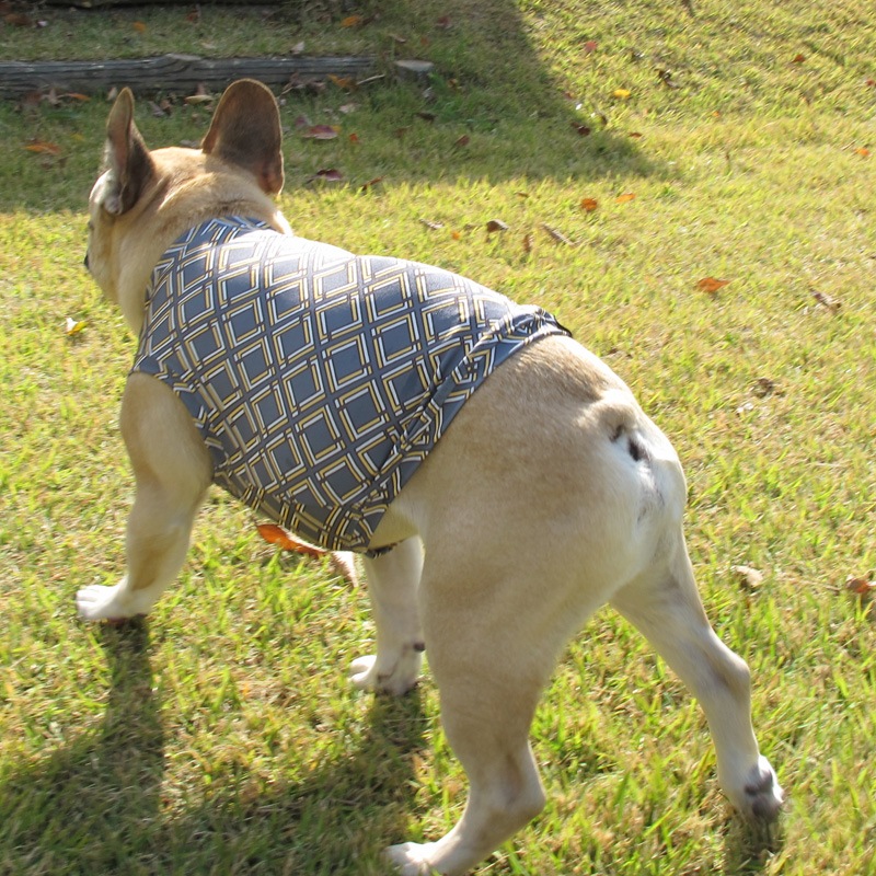 �ͳѻͳѥ��󥯥ȥåס�T�����2��or���󥯥ȥå�1���T�����1��ϥ᡼���زġ�