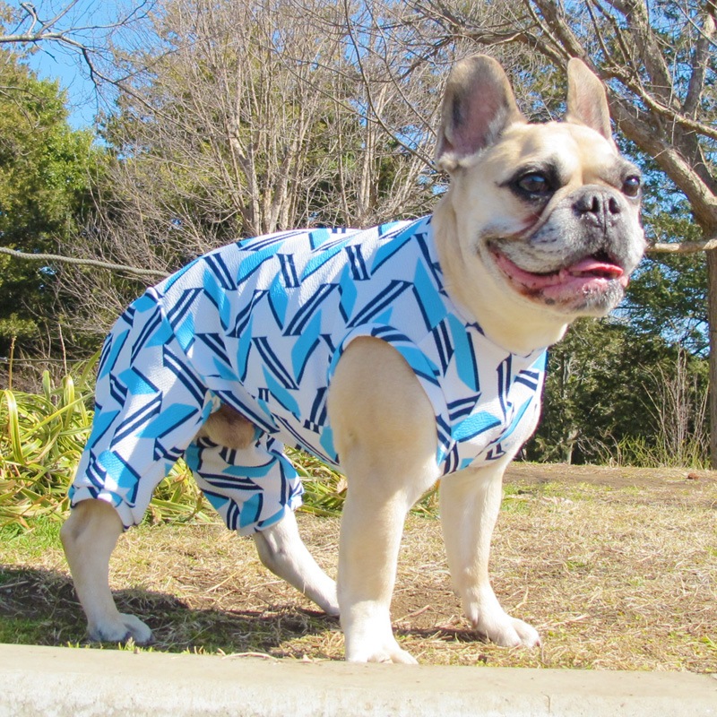 ����Х��ƤĤʤ��ڲƤĤʤ�2��or�ƤĤʤ�1���T�����(����)1��ϥ᡼���زġ�