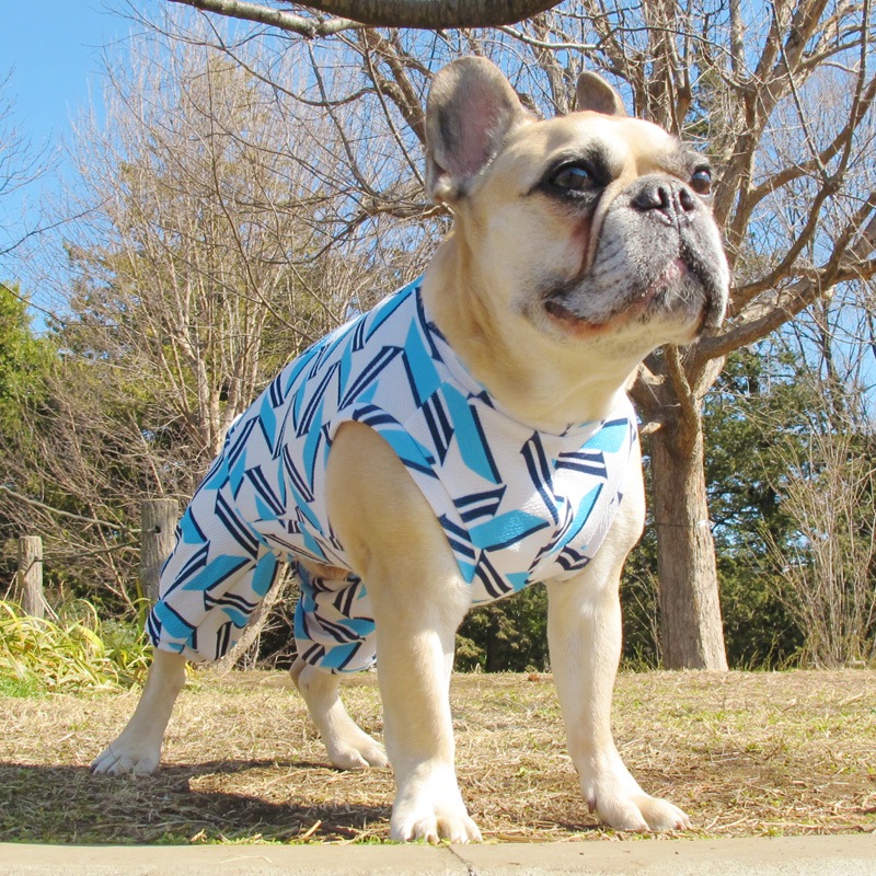 ����Х��ƤĤʤ��ڲƤĤʤ�2��or�ƤĤʤ�1���T�����(����)1��ϥ᡼���زġ�