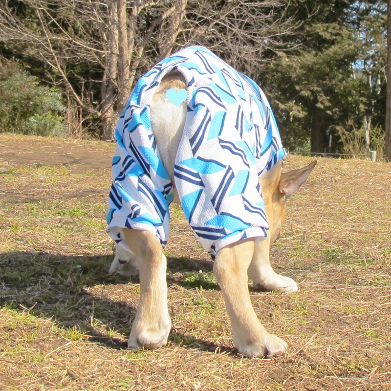 ����Х��ƤĤʤ��ڲƤĤʤ�2��or�ƤĤʤ�1���T�����(����)1��ϥ᡼���زġ�