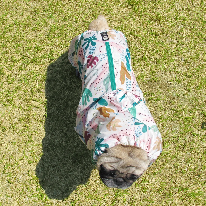 �ԥ󥯥ѥ󥵡��ץ��ȥ쥤�󥳡��ȡ����̡��ɥա��ɡ�ñ�ʥ᡼���ز�/���̡��ɥա��ɤȤ�Ʊ���᡼���زġ�