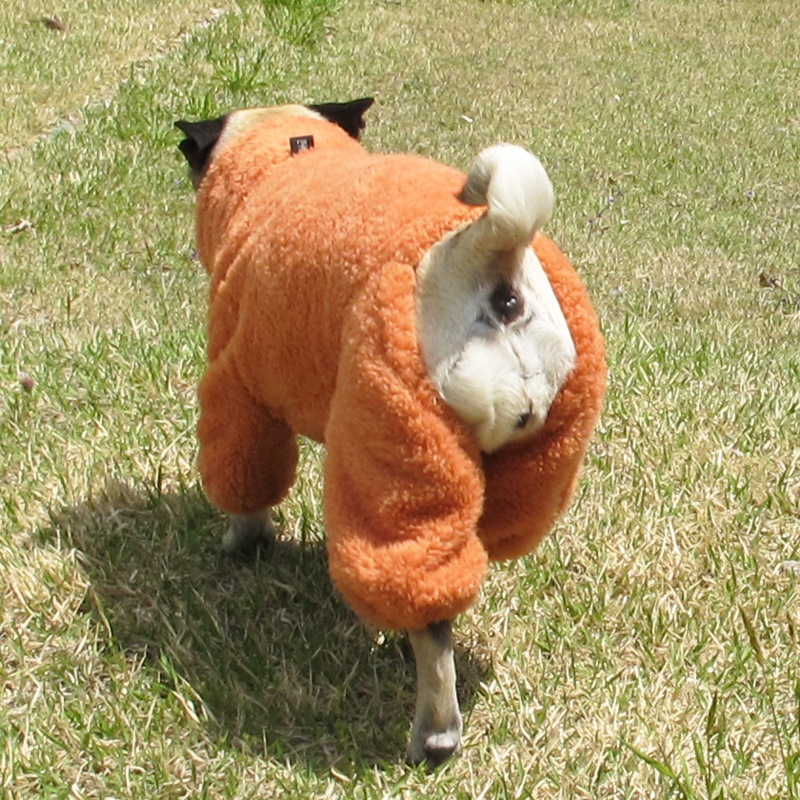 �Ĥ�XL�������Τߡ�������ۤĤʤ��ʥ��ץꥳ�åȡˡڥ᡼�����Բġ�