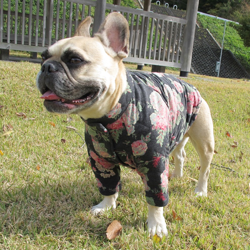 ���ؤβ֤�餫�����㥱�åȡڥ᡼�����Բġ�