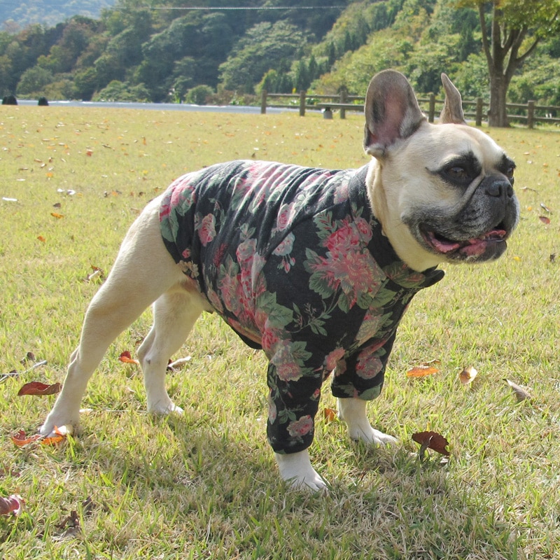 ���ؤβ֤�餫�����㥱�åȡڥ᡼�����Բġ�