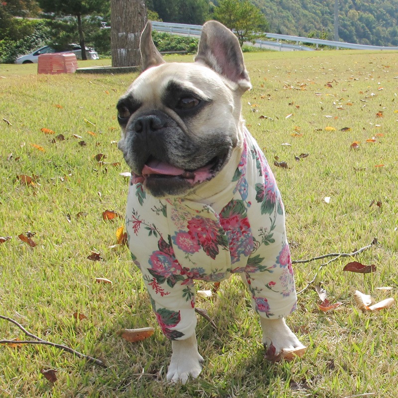 ���ؤβ֤�餫�����㥱�åȡڥ᡼�����Բġ�