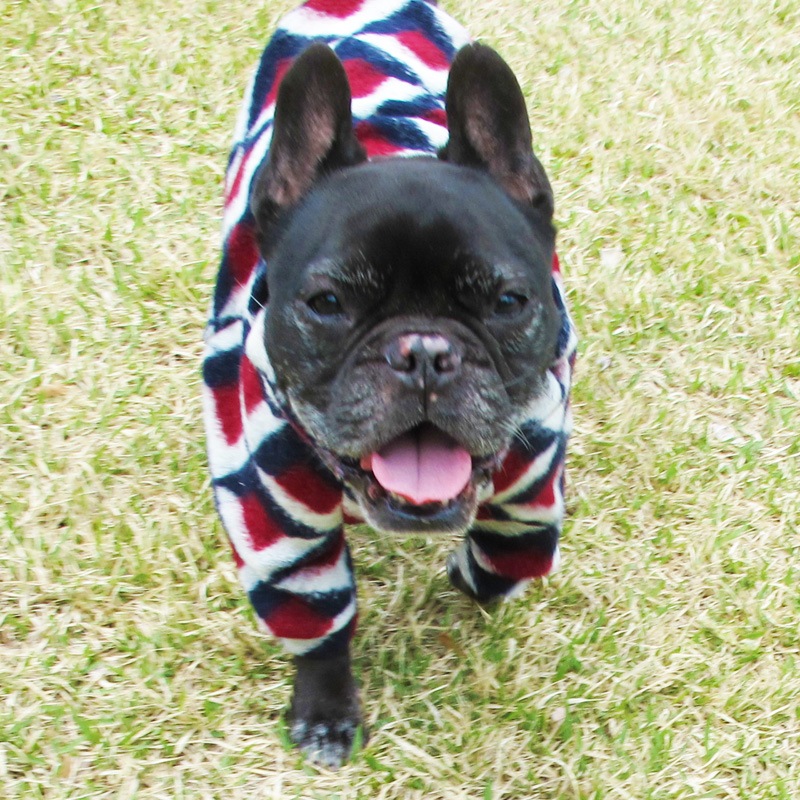 ĤSΤߡȥḁ̊ڰΤߥ᡼زġ