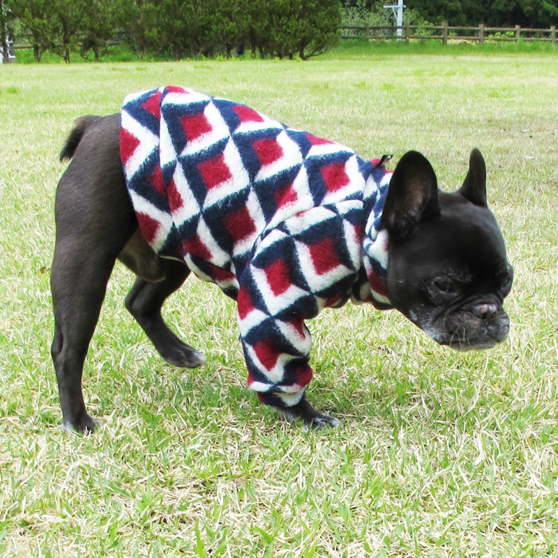 ĤSΤߡȥḁ̊ڰΤߥ᡼زġ