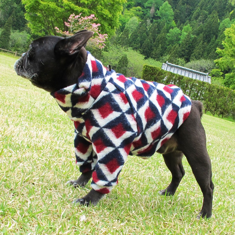 ĤSΤߡȥḁ̊ڰΤߥ᡼زġ