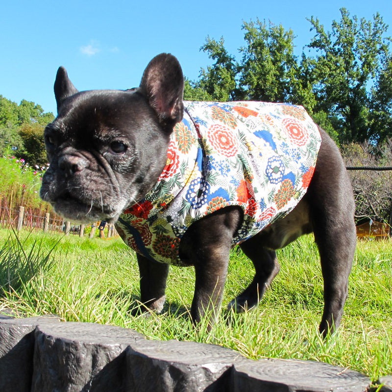 ʲ֡ʥ٥ȡڰΤߥ᡼زġ